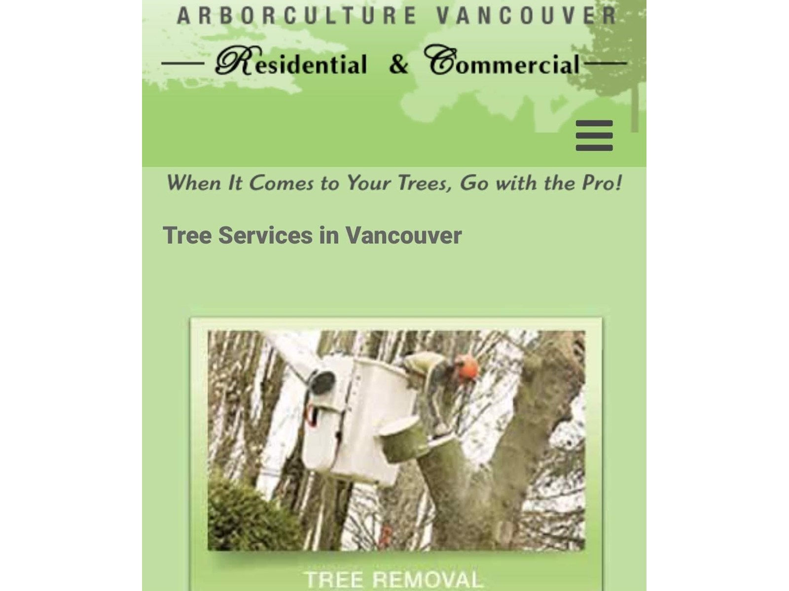 Lorem Ipsum Dolo, Burnaby, British Columbia  V3N  - Photo 2 - DEMO25287236