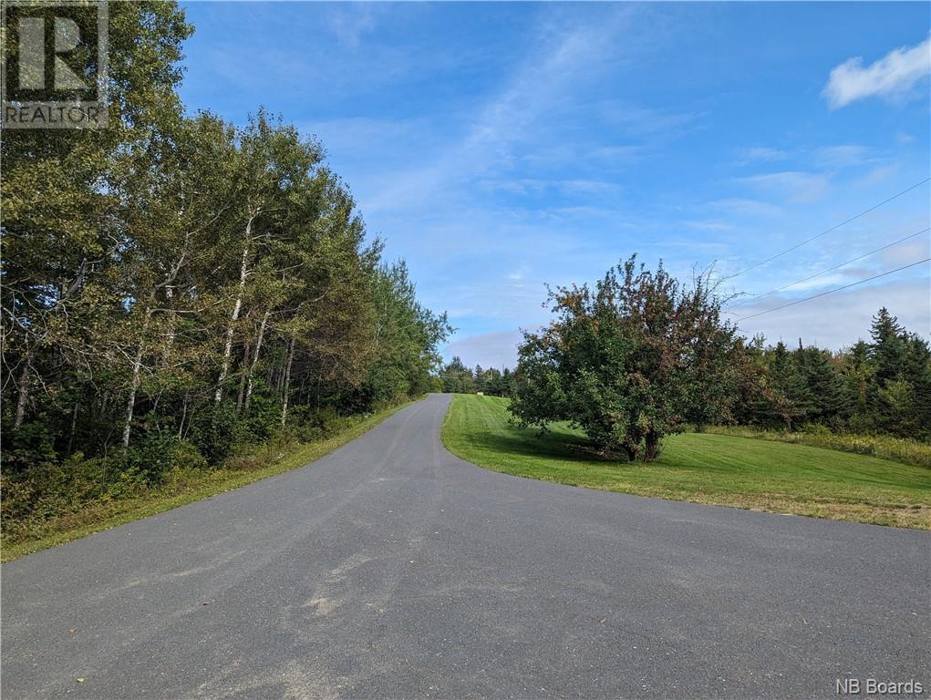 1050 Rivière à La Truite, Rivière-À-La-Truite, New Brunswick  E1X 2N1 - Photo 43 - NB083887