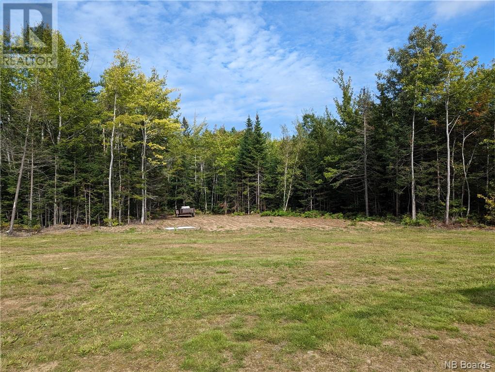 1050 Rivière à La Truite, Rivière-À-La-Truite, New Brunswick  E1X 2N1 - Photo 21 - NB083887