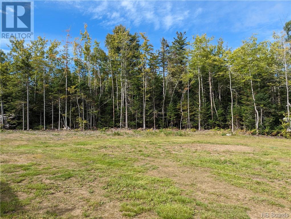 1050 Rivière à La Truite, Rivière-À-La-Truite, New Brunswick  E1X 2N1 - Photo 27 - NB083887