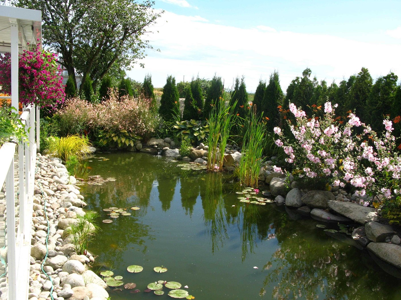 Lorem Ipsum Dol, Delta, British Columbia  V4K  - Photo 13 - DEMO25299371