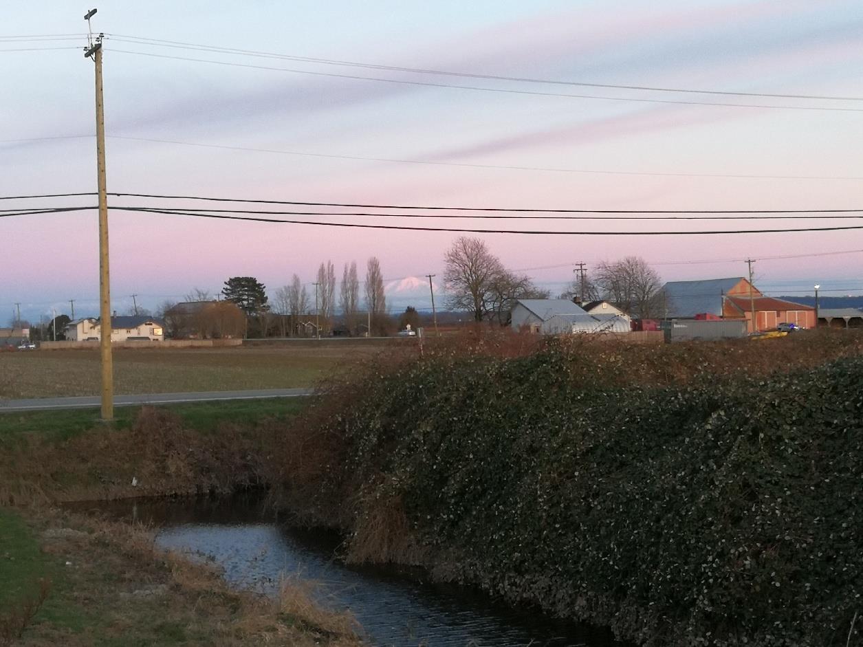 Lorem Ipsum Dol, Delta, British Columbia  V4K  - Photo 19 - DEMO25299371