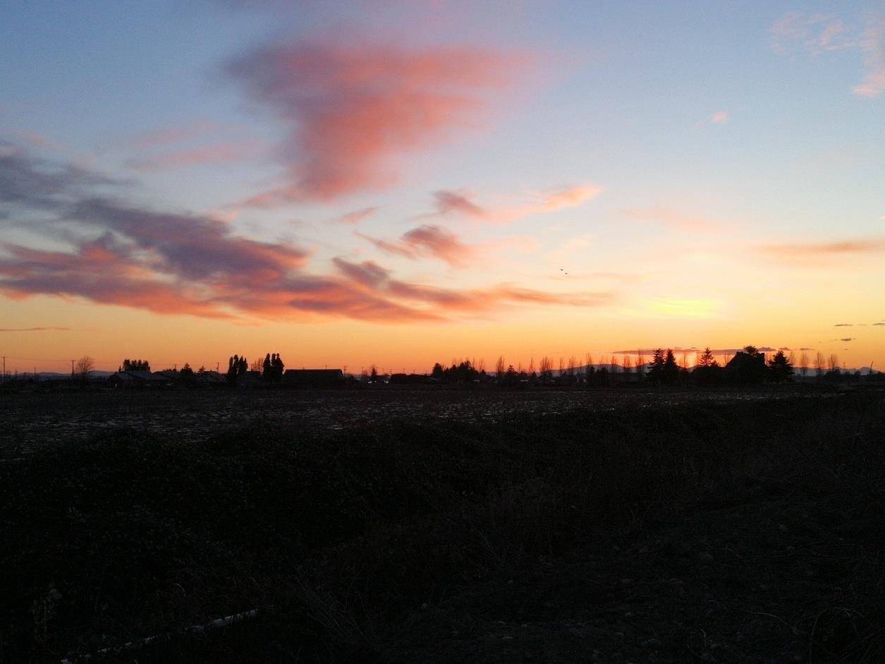 Lorem Ipsum Dol, Delta, British Columbia  V4K  - Photo 20 - DEMO25299371