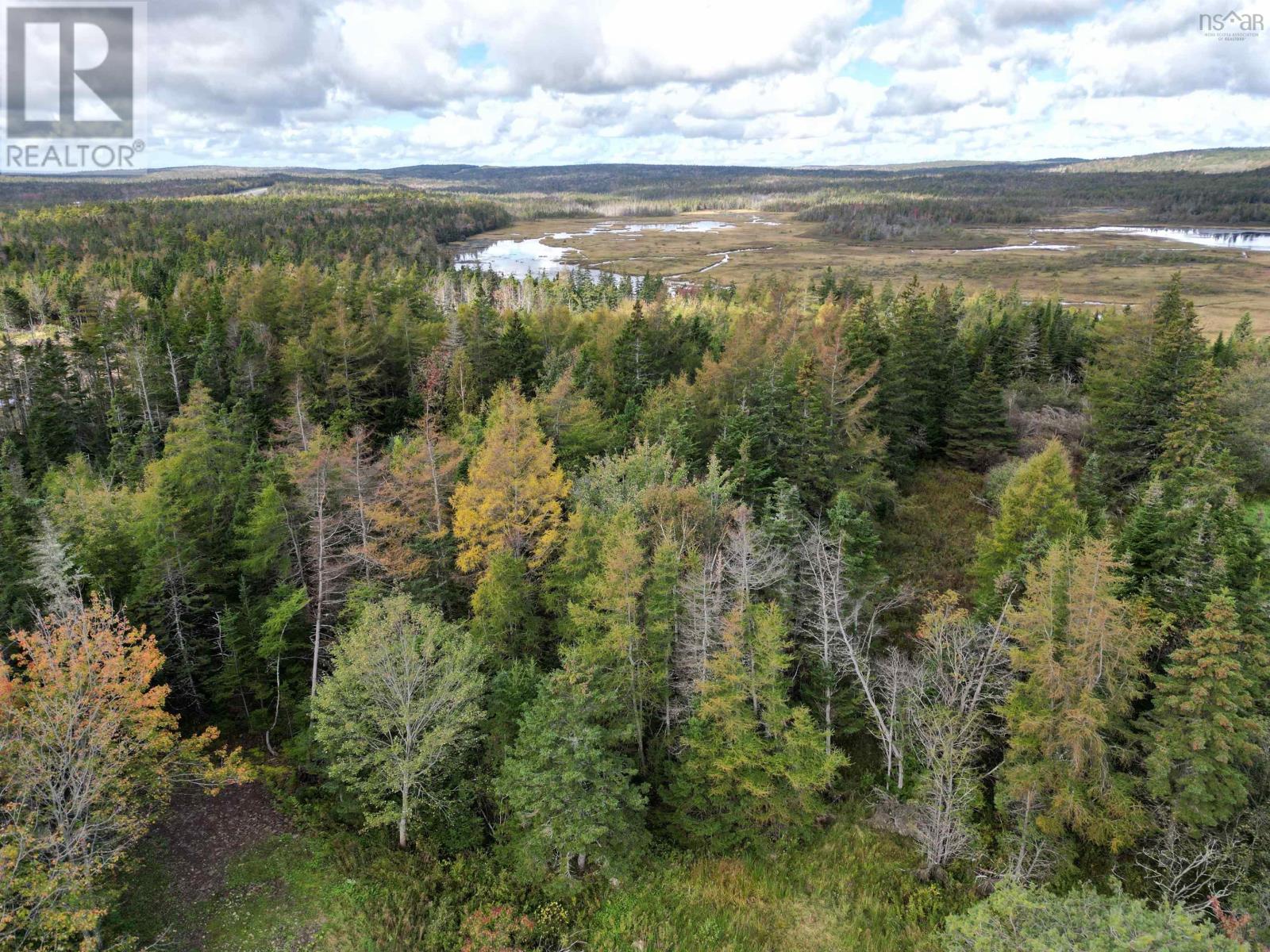 Lorem Ipsum Dol, Louisdale, Nova Scotia  B0E  - Photo 4 - DEMO25317558