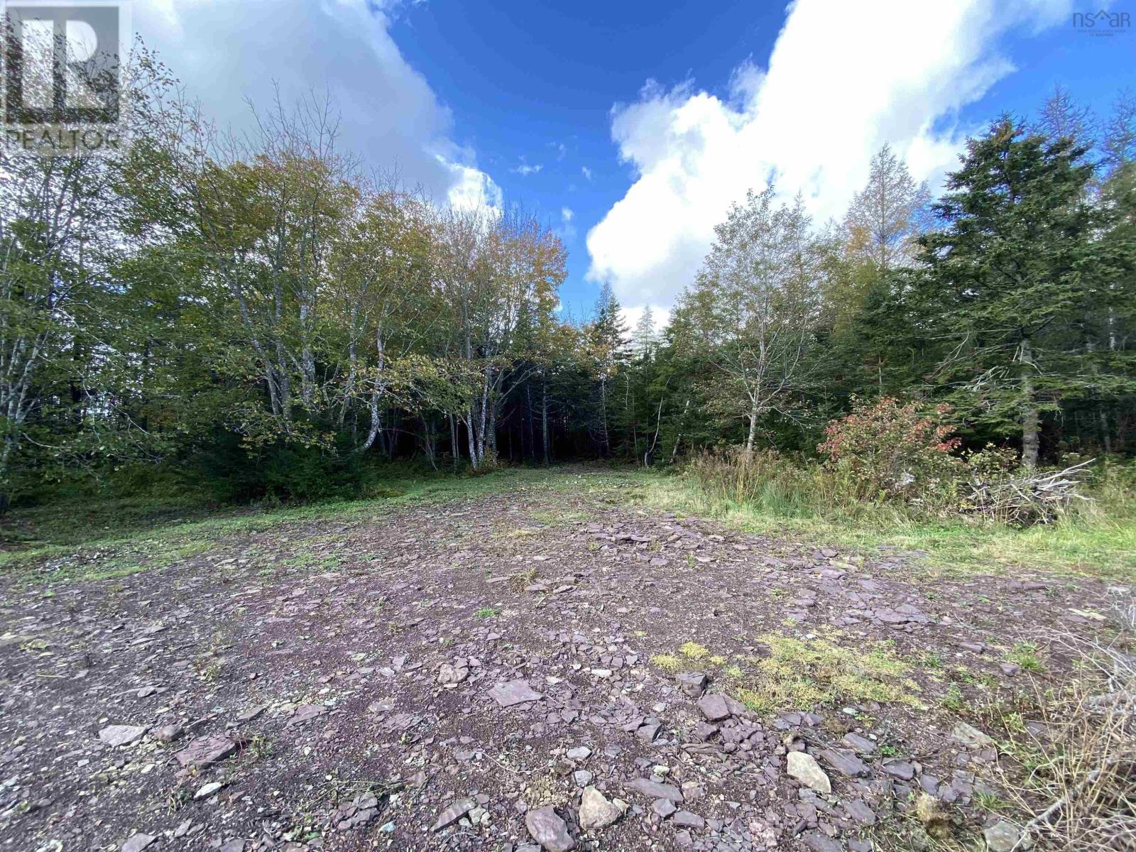 Lorem Ipsum Dol, Louisdale, Nova Scotia  B0E  - Photo 8 - DEMO25317558