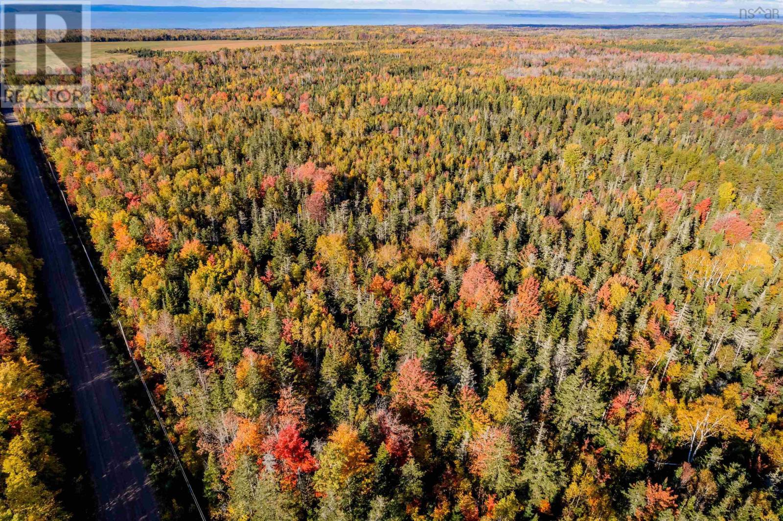 Lorem Ipsum Dolor Sit Amet,, Mountain Front, Nova Scotia  B0P  - Photo 4 - DEMO25195861