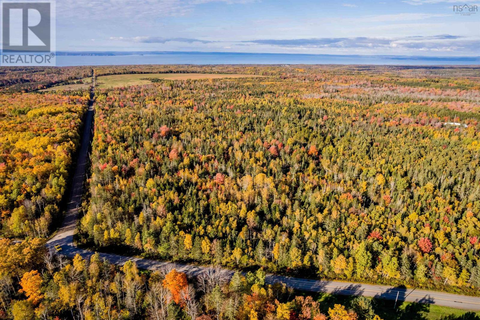 Lorem Ipsum Dolor Sit Amet,, Mountain Front, Nova Scotia  B0P  - Photo 5 - DEMO25195861