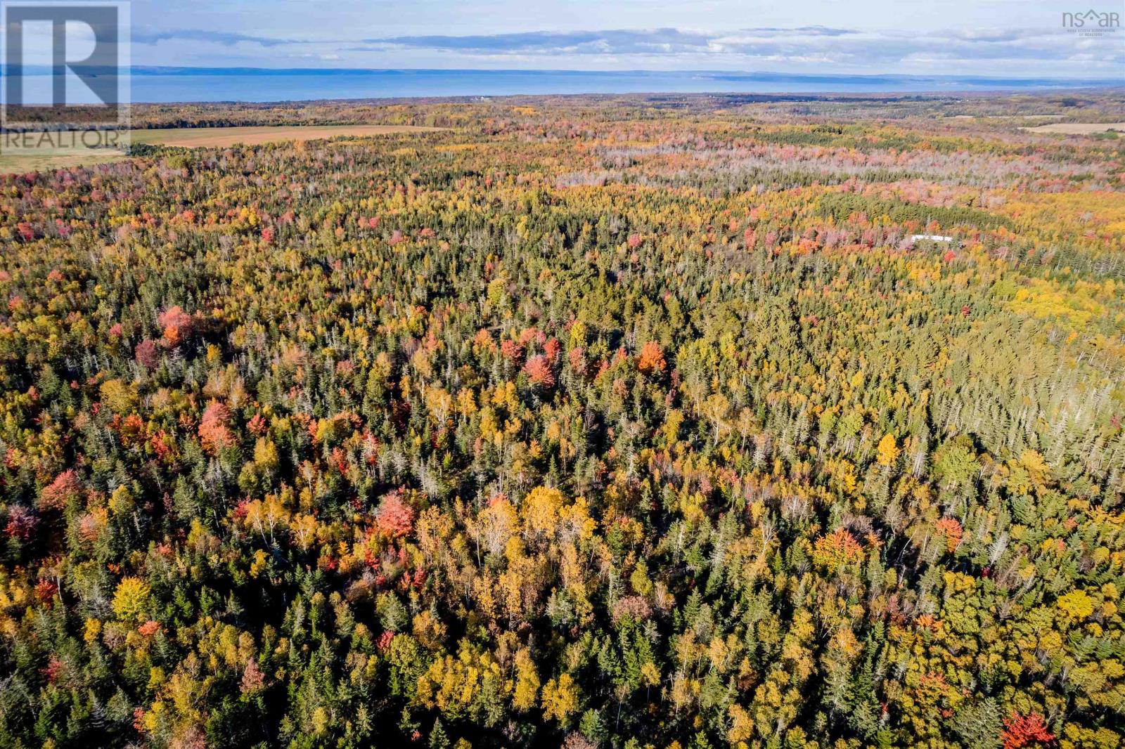 Lorem Ipsum Dolor Sit Amet,, Mountain Front, Nova Scotia  B0P  - Photo 18 - DEMO25195862