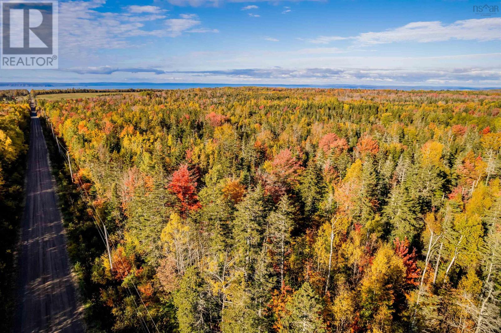 Lorem Ipsum Dolor Sit Amet,, Mountain Front, Nova Scotia  B0P  - Photo 3 - DEMO25195862