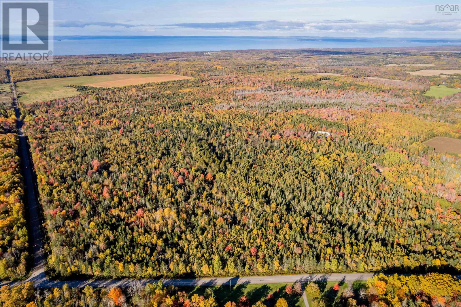 Lorem Ipsum Dolor Sit Amet,, Mountain Front, Nova Scotia  B0P  - Photo 5 - DEMO25195862