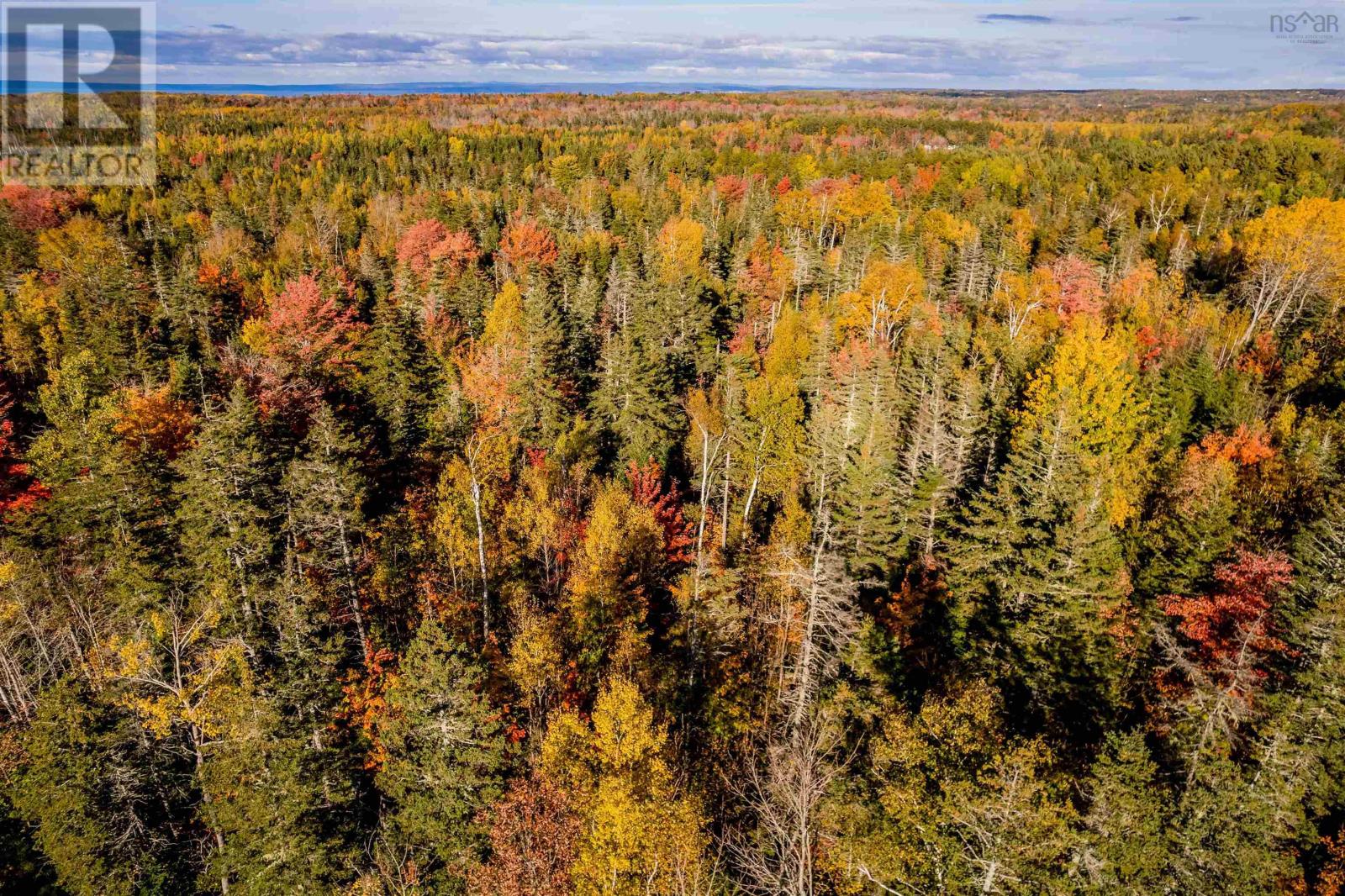 Lorem Ipsum Dolor Sit Amet,, Mountain Front, Nova Scotia  B0P  - Photo 8 - DEMO25195862