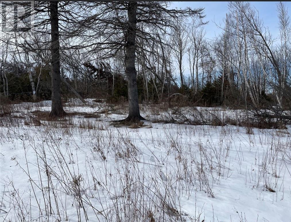 Lot Pointe Aux Bouleaux Rd, Grand-Barachois, New Brunswick  E4P 7Z9 - Photo 1 - M150290