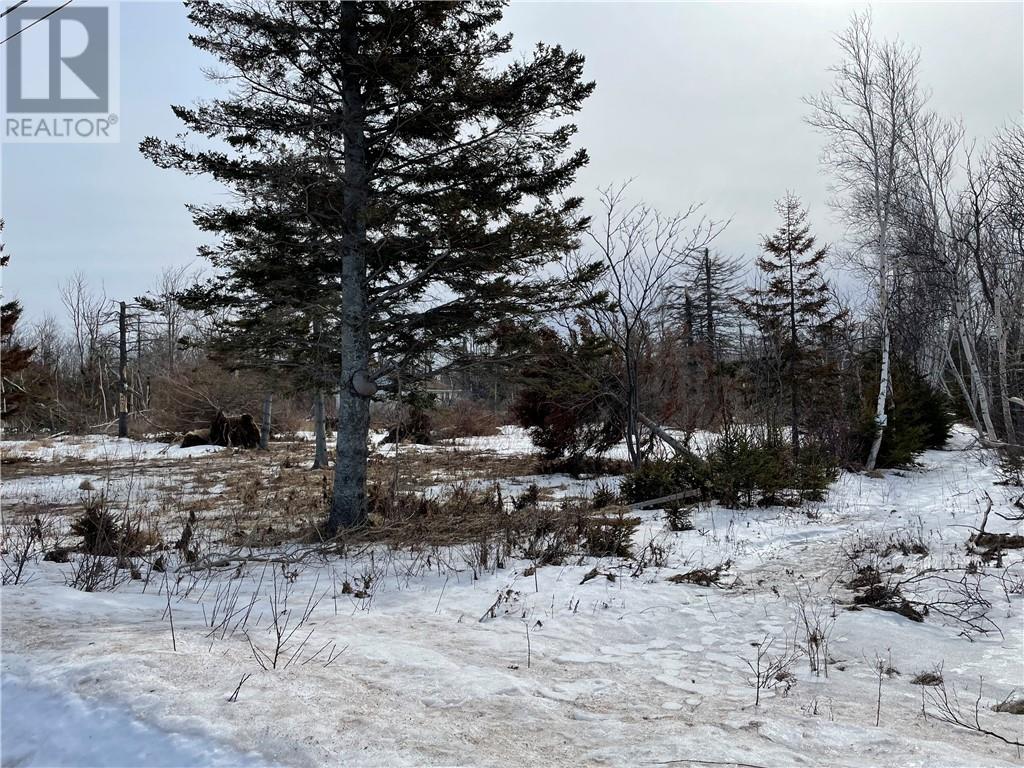 Lot Pointe Aux Bouleaux Rd, Grand-Barachois, New Brunswick  E4P 7Z9 - Photo 3 - M150290