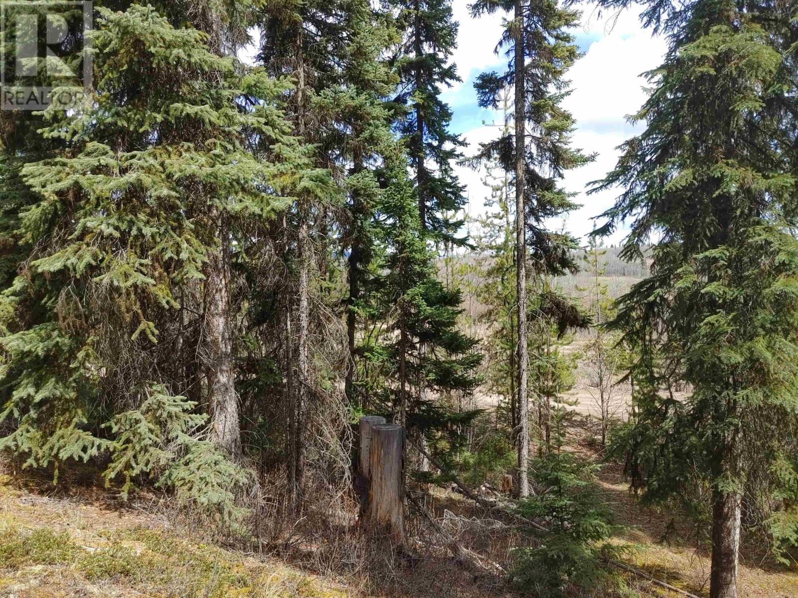 LOT 2 AGER ROAD, burns lake, British Columbia