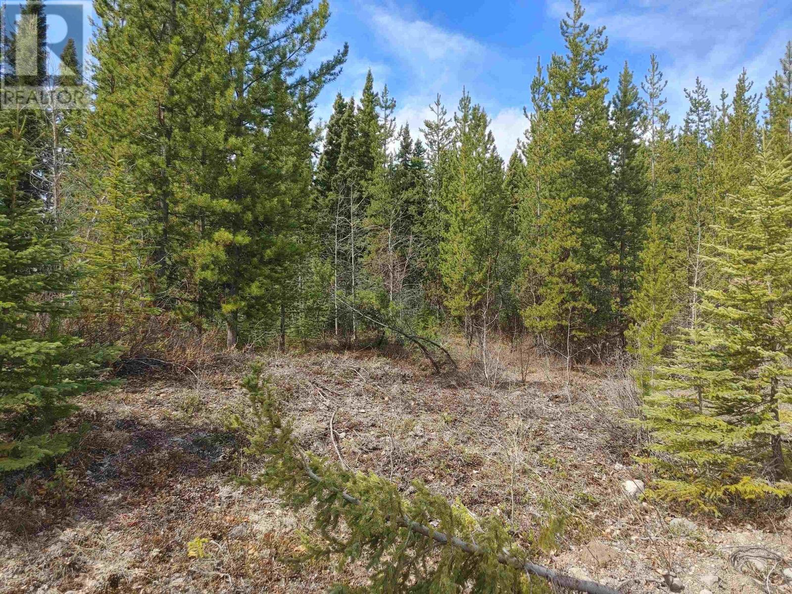 Lorem Ipsum Dol, Burns Lake, British Columbia  V0J  - Photo 3 - DEMO24396087