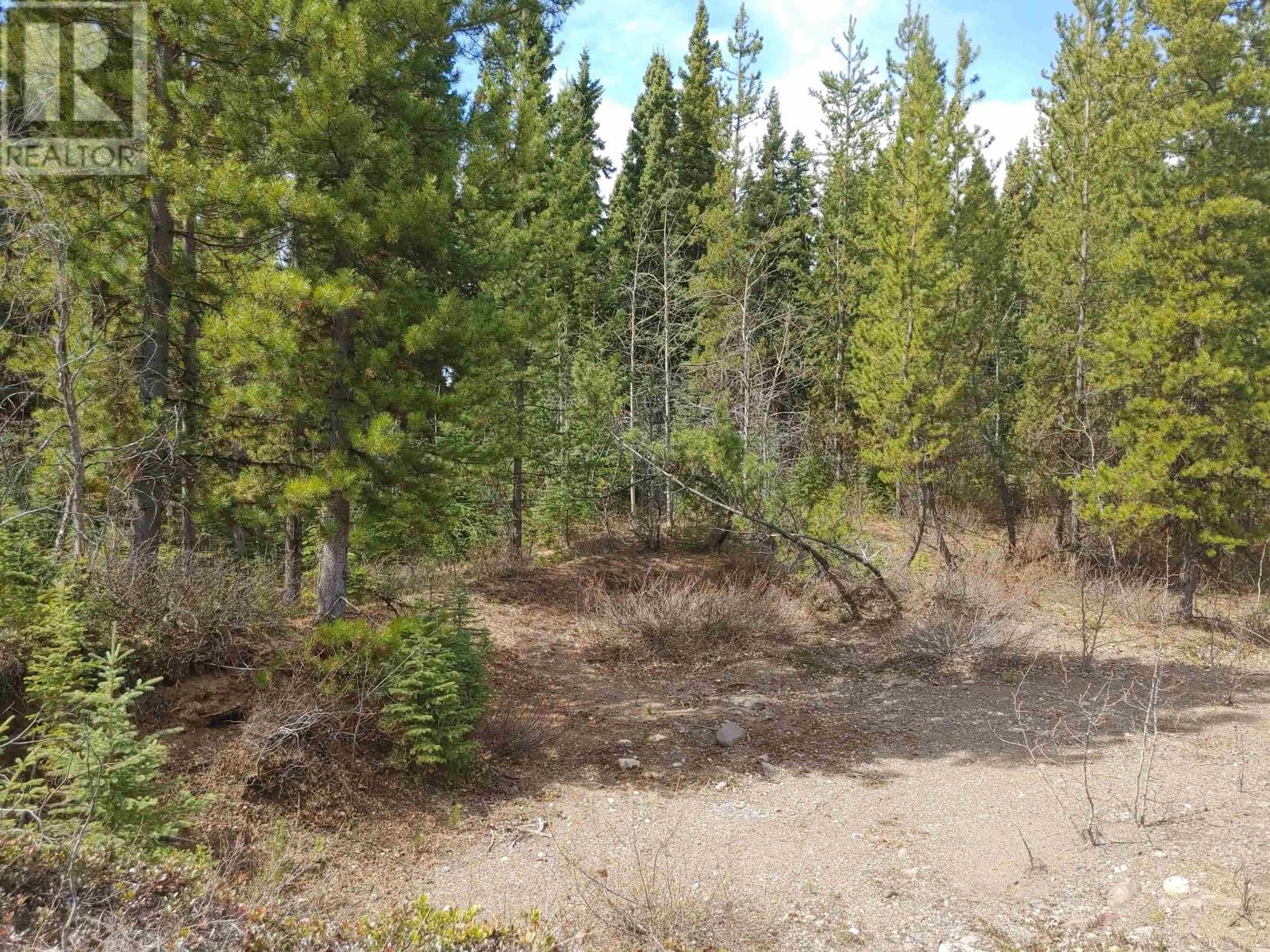 Lorem Ipsum Dol, Burns Lake, British Columbia  V0J  - Photo 4 - DEMO24396087