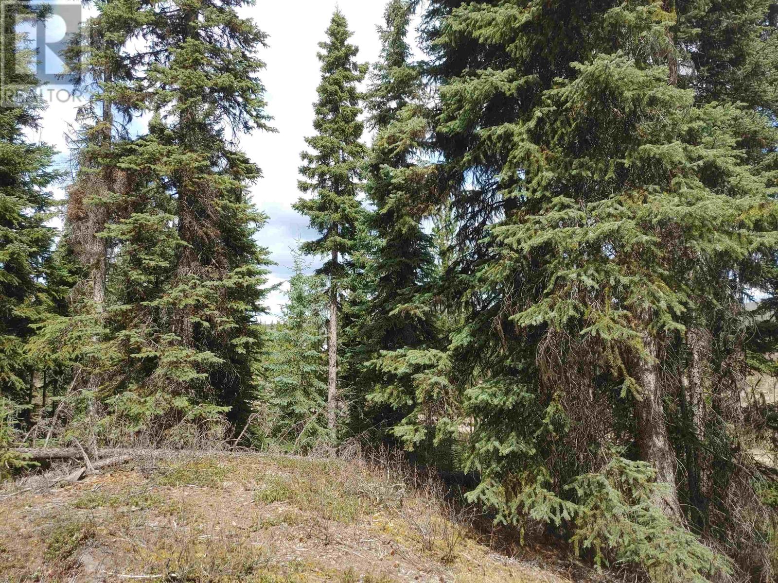 Lot 3 Ager Road, Burns Lake, British Columbia  V0J 1E2 - Photo 2 - R2688223