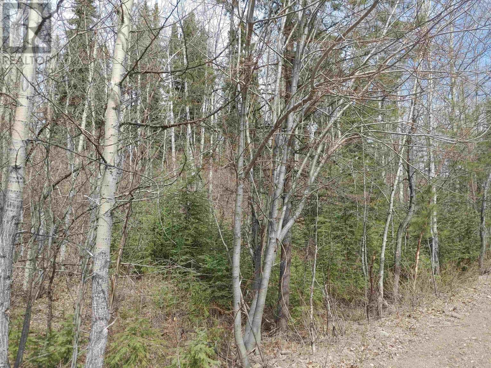 Lot 9 Ager Road, Burns Lake, British Columbia  V0J 1E2 - Photo 3 - R2688251