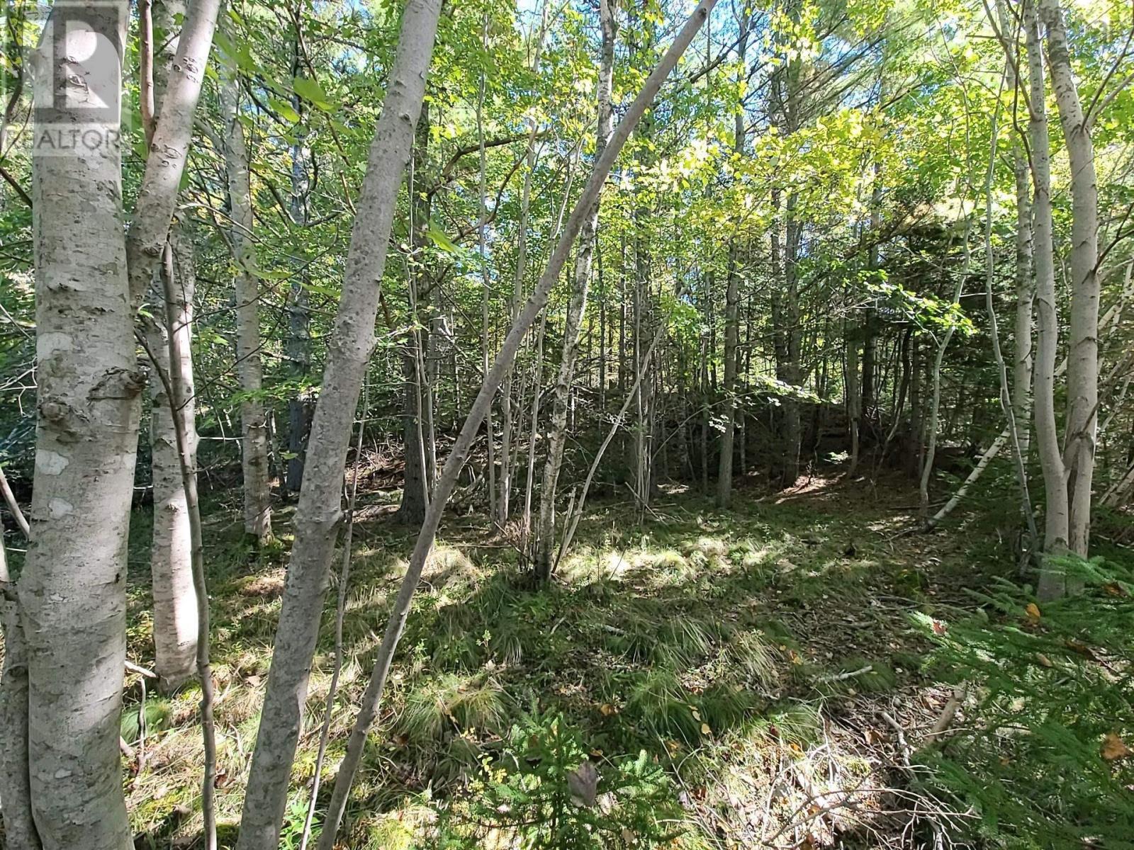 Lot 5 Highway 3, Mahone Bay, Nova Scotia  B0J 2E0 - Photo 13 - 202225229