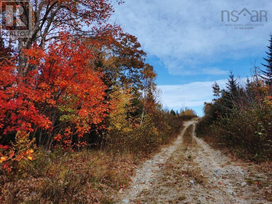 Lorem Ipsum Dolor Sit, East River, Nova Scotia  B0J  - Photo 6 - DEMO24611302
