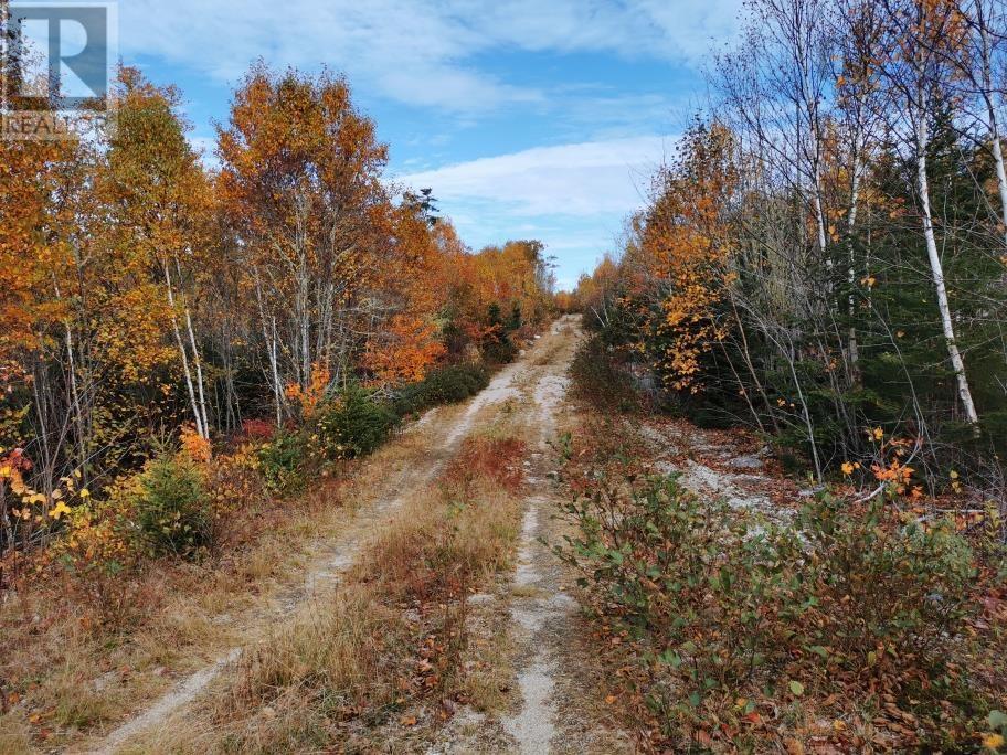 Lorem Ipsum Dolor Sit, East River, Nova Scotia  B0J  - Photo 7 - DEMO24611302
