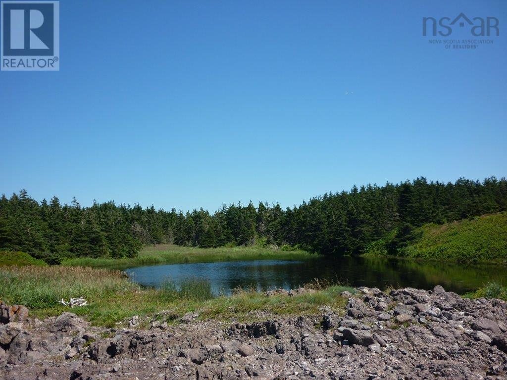 Lots 1-9 Cape Auguet Road, Cape Auguet, Nova Scotia  B0E 1A0 - Photo 14 - 202304048