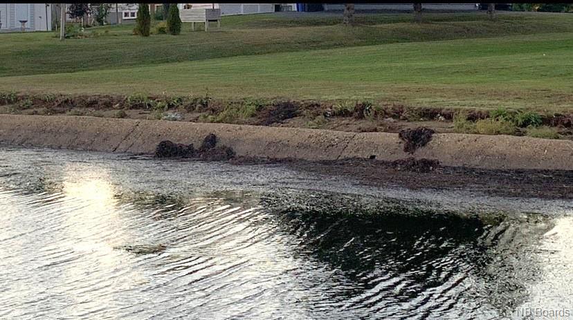 1042 Mc Chemin Pointe Des Ferguson, Tracadie, New Brunswick E1X 1C6 - Photo 5 - NB084754