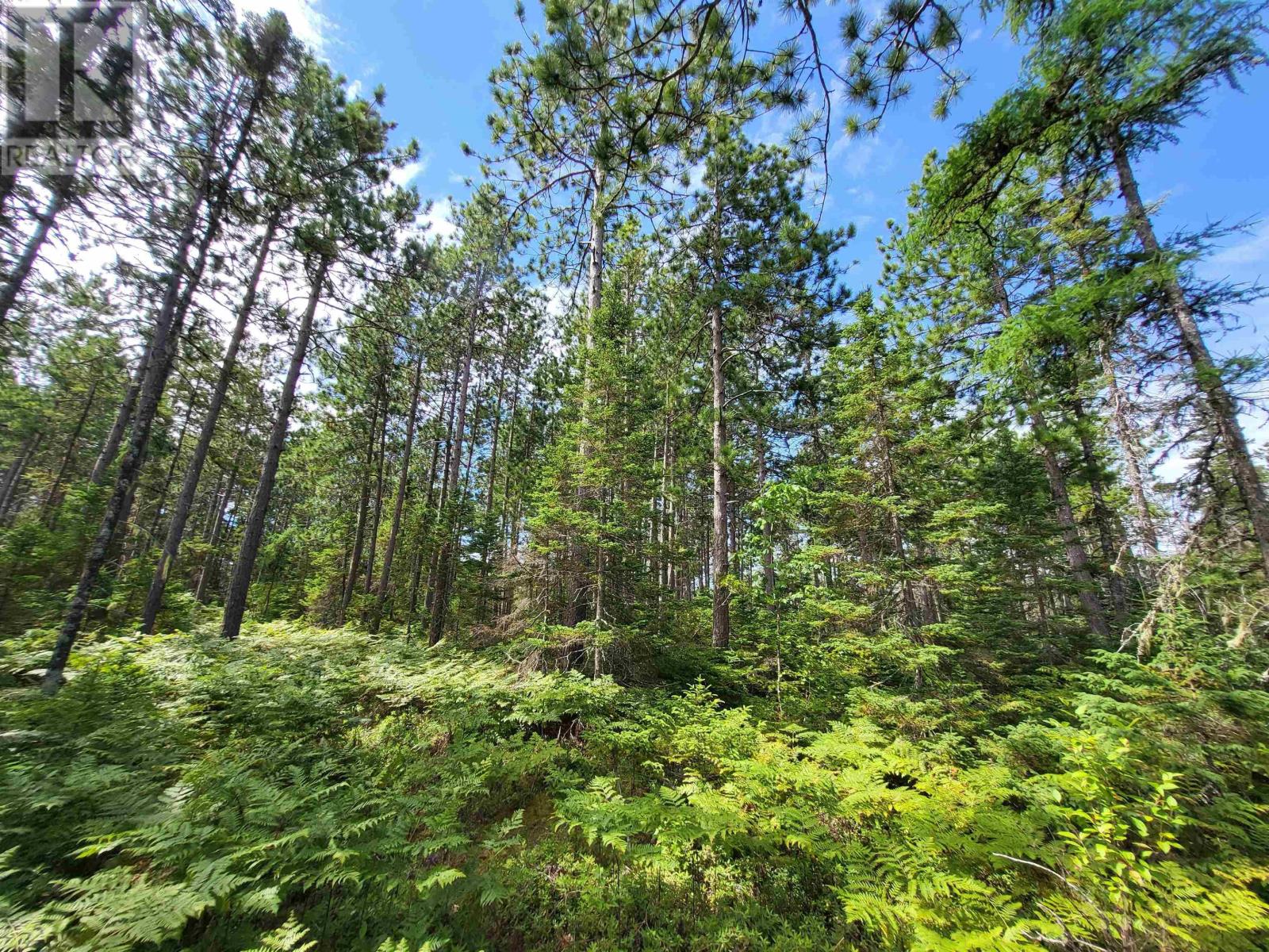 Lot Ohio Road, Stanley Section, Nova Scotia  B0R 1E0 - Photo 10 - 202220261