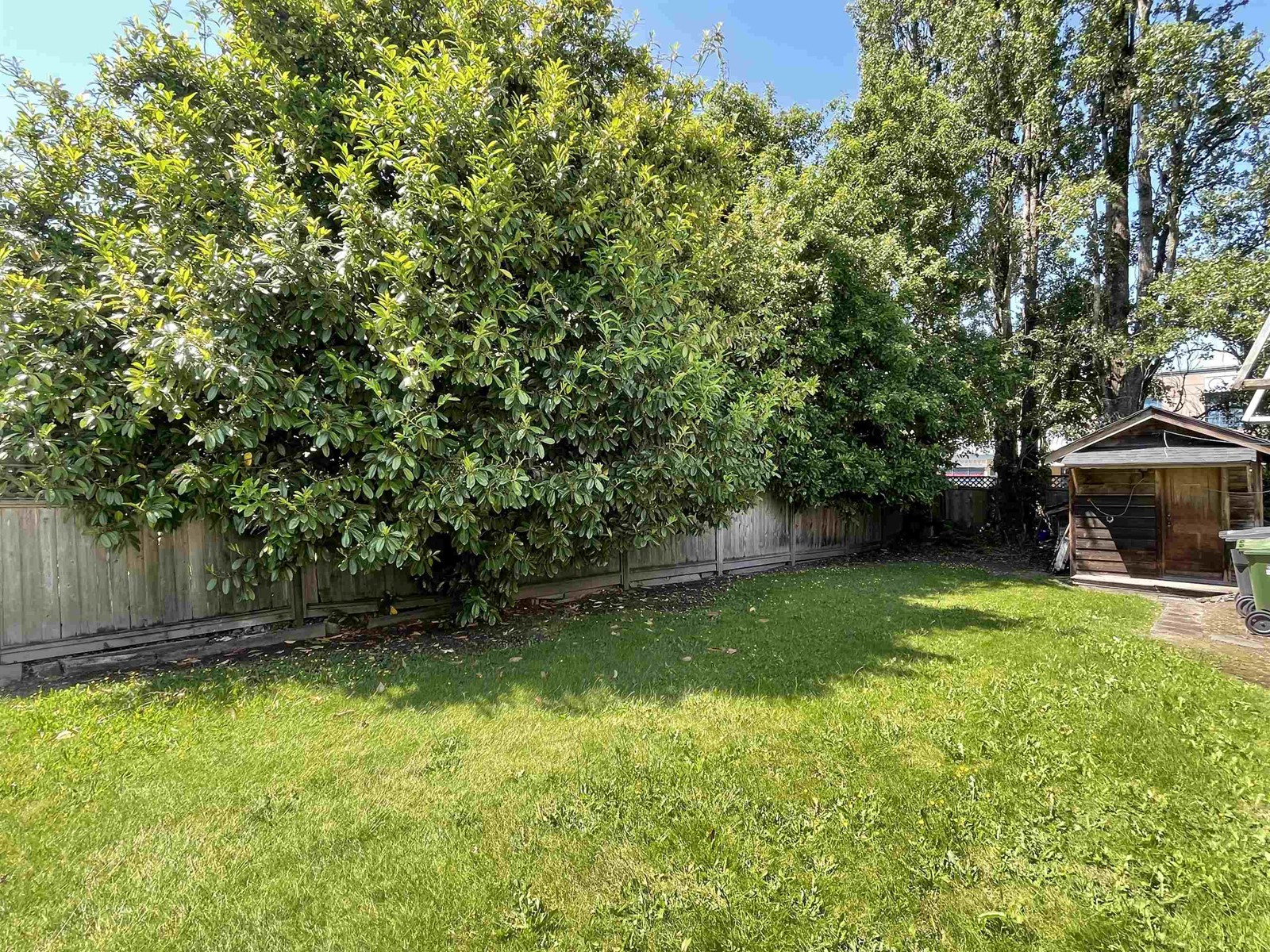 4411 Brown Road, Richmond, British Columbia  V6X 2E9 - Photo 4 - R2760523