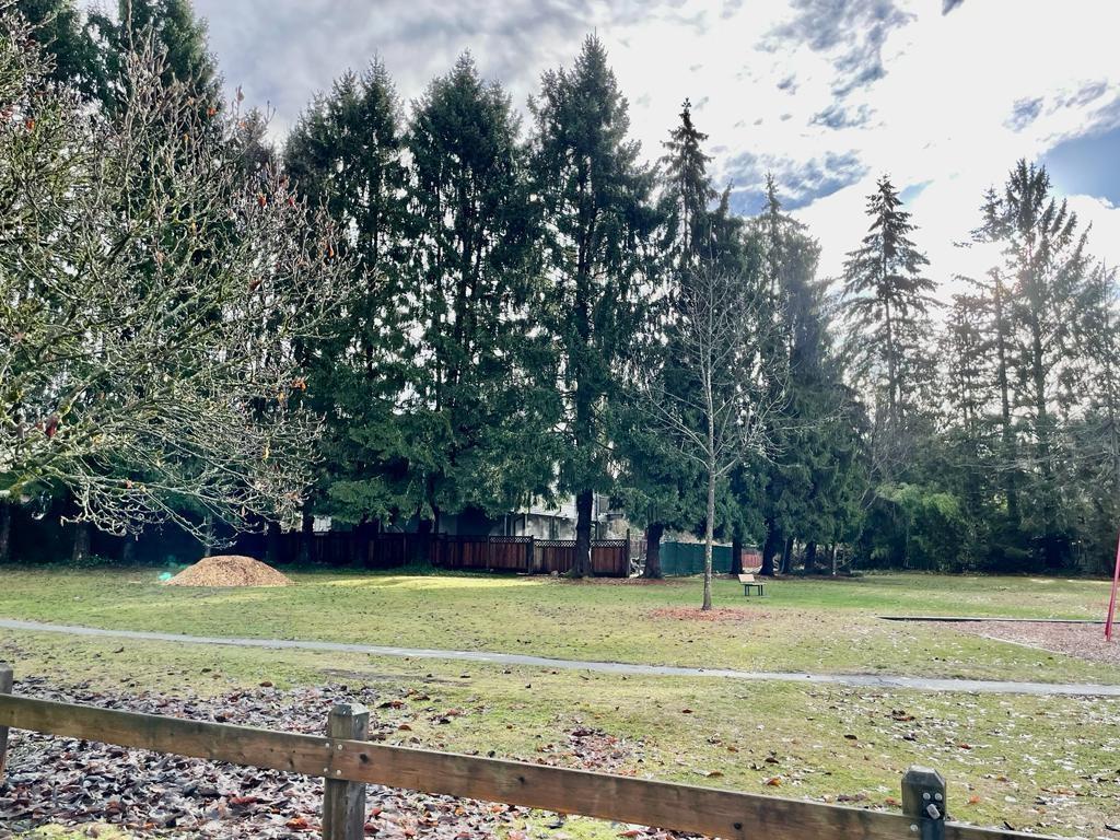 12301 Fulton Street, Maple Ridge, British Columbia  V2X 6L4 - Photo 7 - R2760486