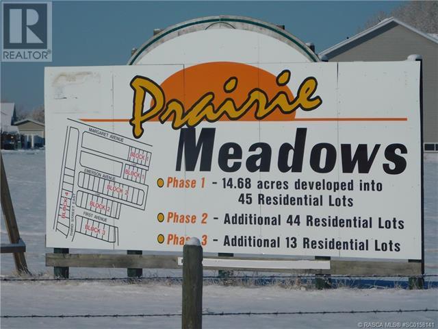 400 Howe Avenue E, Duchess, Alberta  T0J 0Z0 - Photo 10 - SC0158141