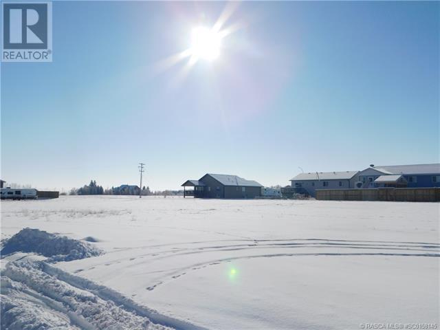 436 Margaret Avenue E, Duchess, Alberta  T0J 0Z0 - Photo 7 - SC0158145