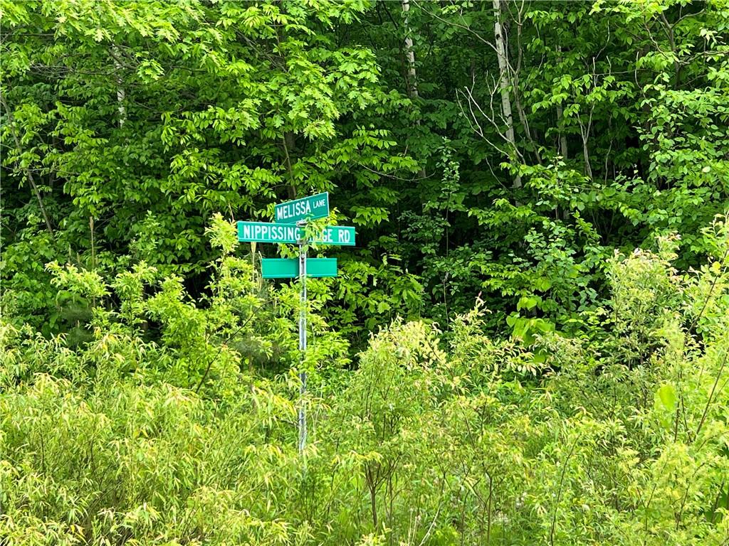 Lot 19 Nippissing Ridge Road, Tiny, Ontario  L9M 0H6 - Photo 7 - H4158922