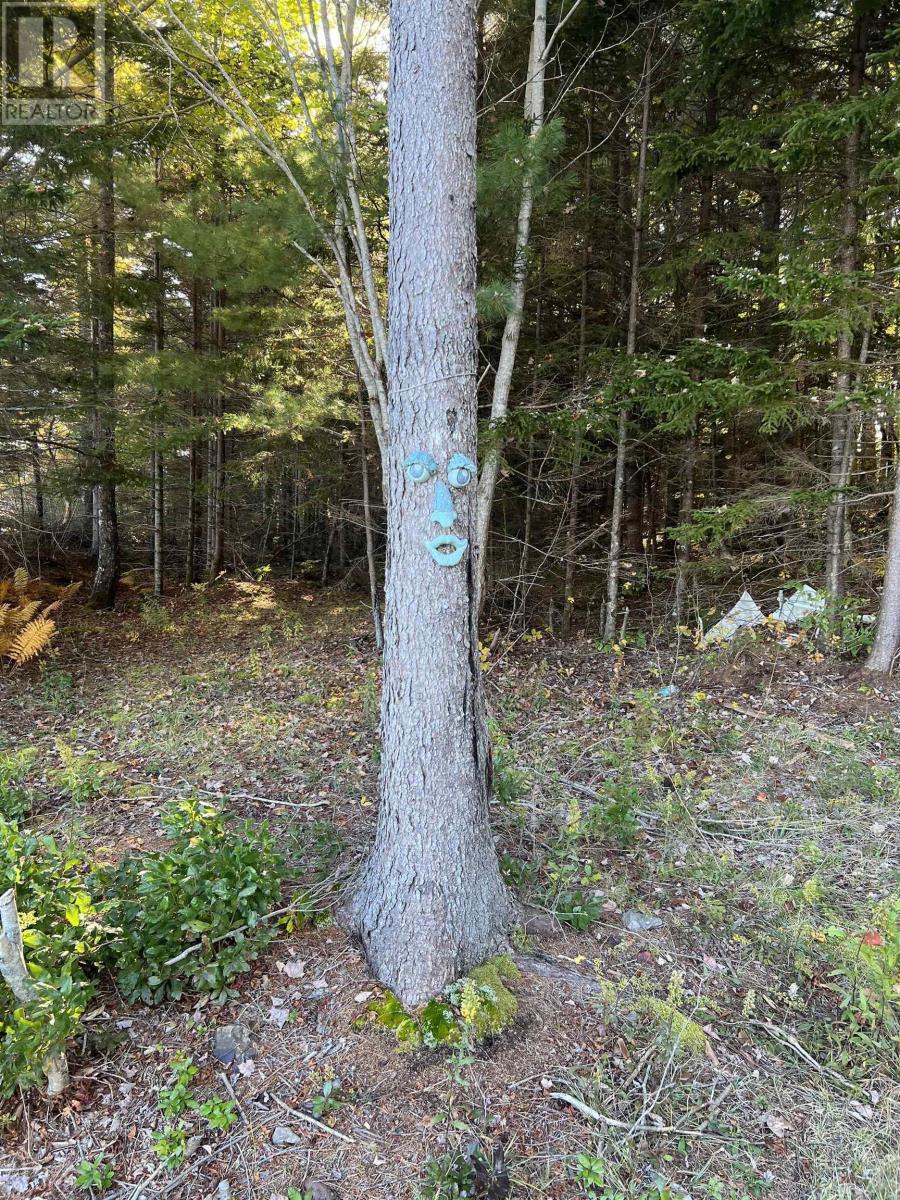 85 Bartlett Lake Lane, Grosses Coques, Nova Scotia  B0W 1M0 - Photo 12 - 202224101