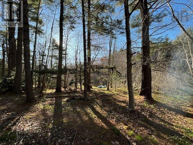 Lot 3 15 Cottage Lane, Windsor Junction, Nova Scotia  B2T 1G7 - Photo 10 - 202304729