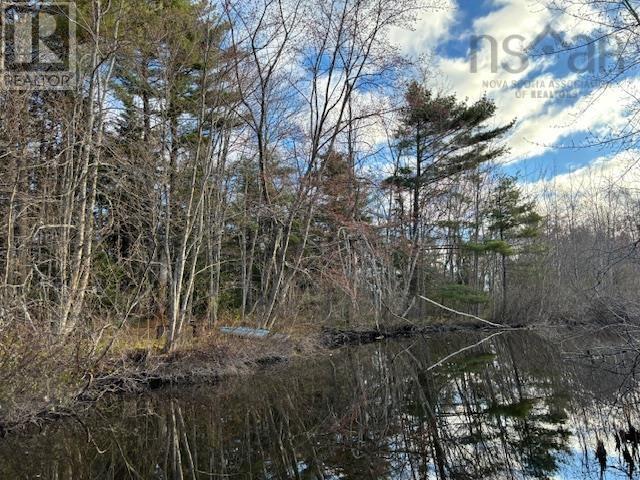 Lot 3 15 Cottage Lane, Windsor Junction, Nova Scotia  B2T 1G7 - Photo 12 - 202304729