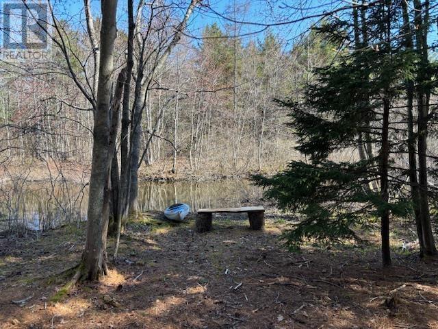 Lot 3 15 Cottage Lane, Windsor Junction, Nova Scotia  B2T 1G7 - Photo 8 - 202304729