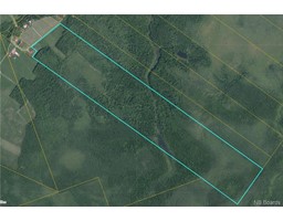 185 Acres Little Branch Road