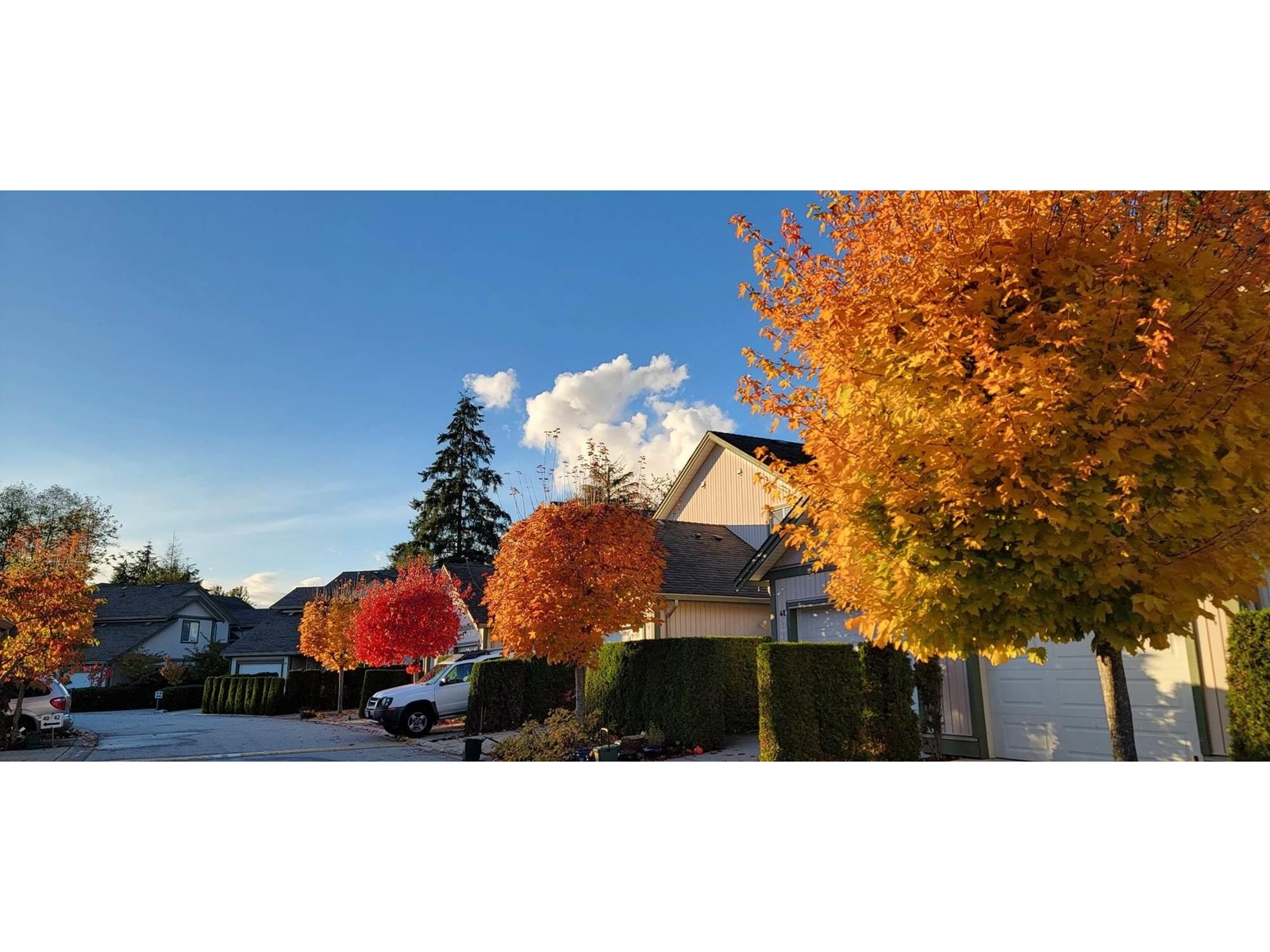 47 735 Park Road, Gibsons, British Columbia  V0N 1V7 - Photo 19 - R2758014