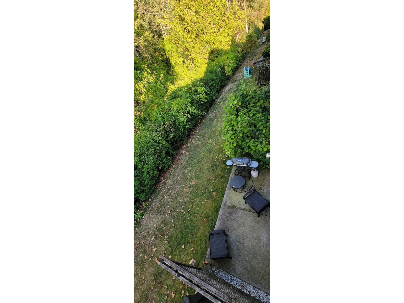 47 735 Park Road, Gibsons, British Columbia  V0N 1V7 - Photo 22 - R2758014