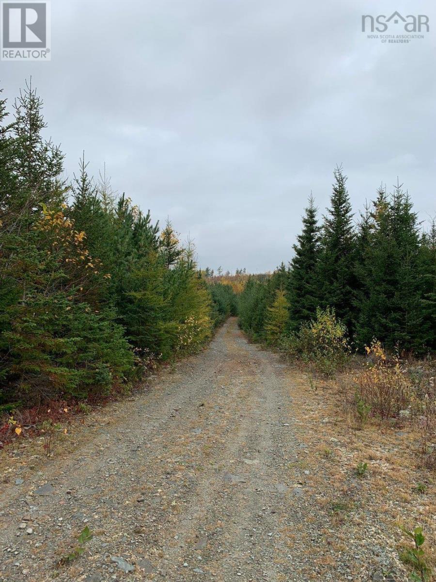 Lot 5 The Grant Preserve, Meaghers Grant, Nova Scotia  B0V 1V0 - Photo 12 - 202300221
