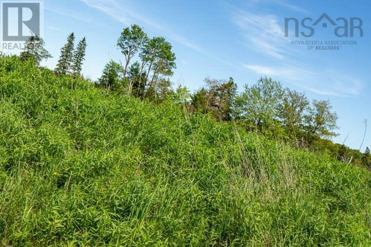 102 Festival Lane, Mackay Siding, Nova Scotia  B0N 2J0 - Photo 20 - 202217310