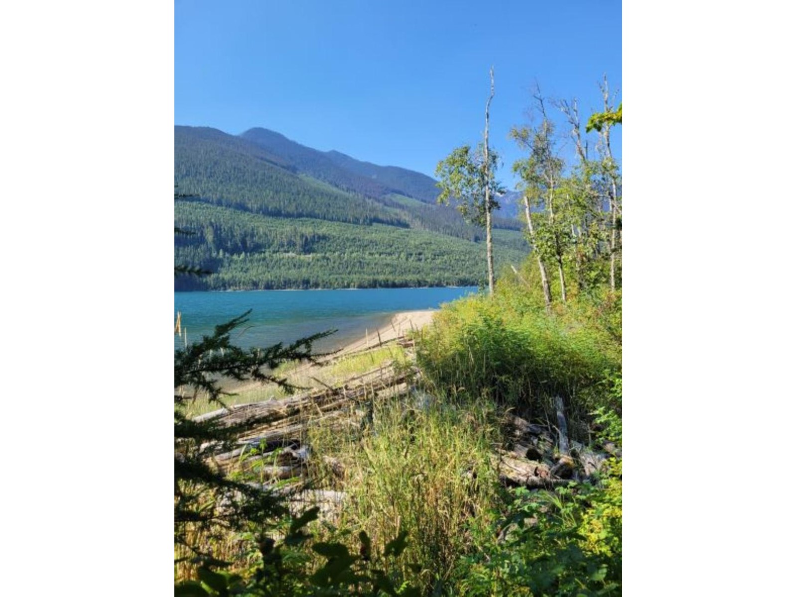 8447 Highway 31, Trout Lake, British Columbia  V0G 1R1 - Photo 14 - 2469758