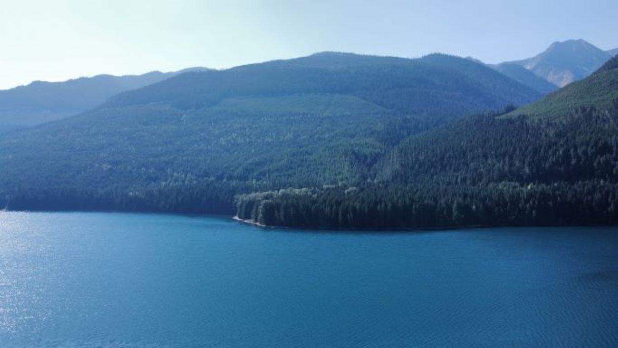 8447 Highway 31, Trout Lake, British Columbia  V0G 1R1 - Photo 41 - 2469758