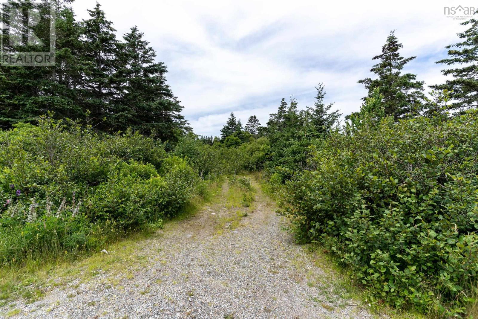 Lot Comeau's Hill Road, Little River Harbour, Nova Scotia  B0W 1B0 - Photo 5 - 202215094