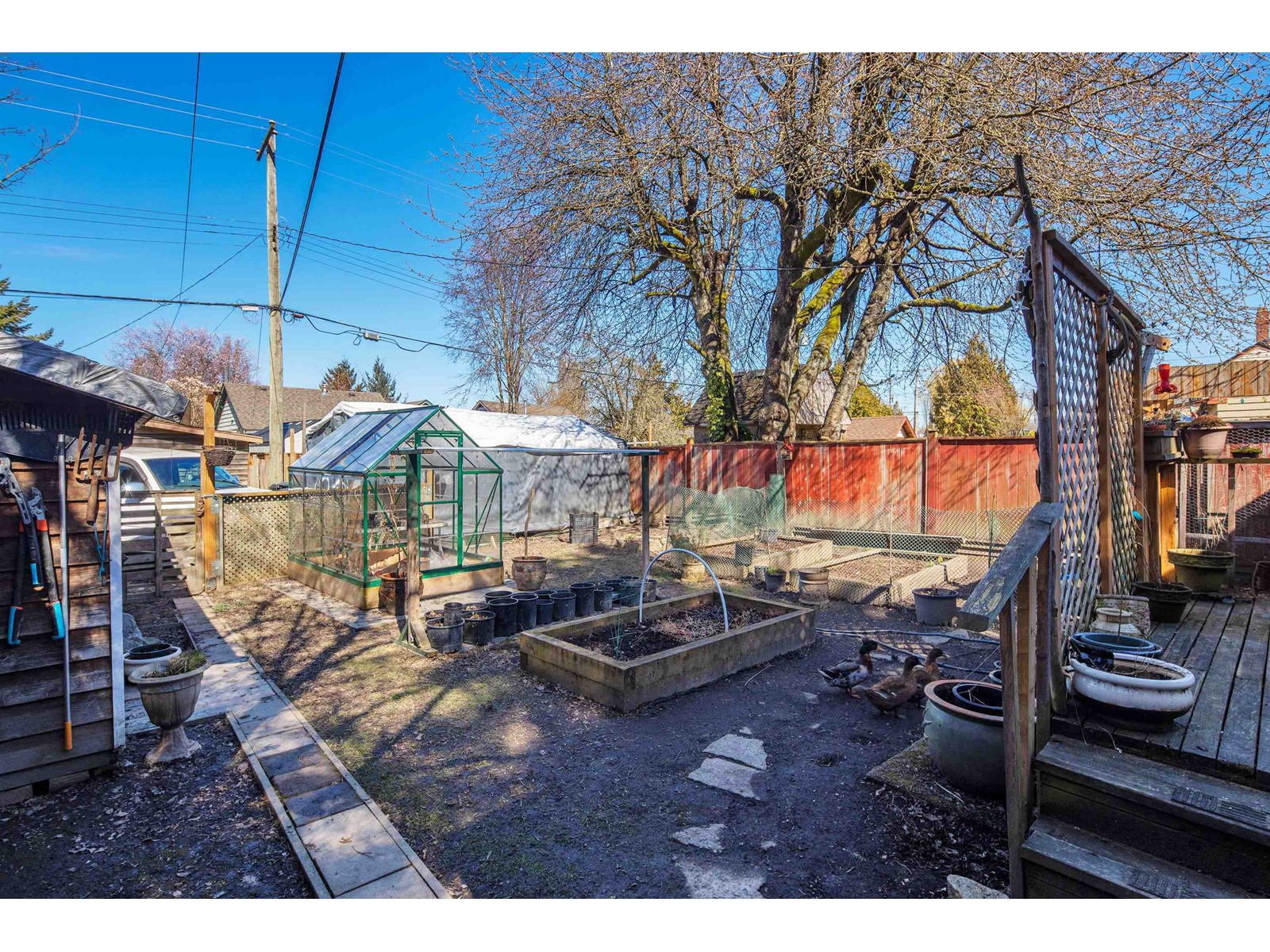 3131 Catalina Crescent, Richmond, British Columbia  V7B 1E3 - Photo 10 - R2763895