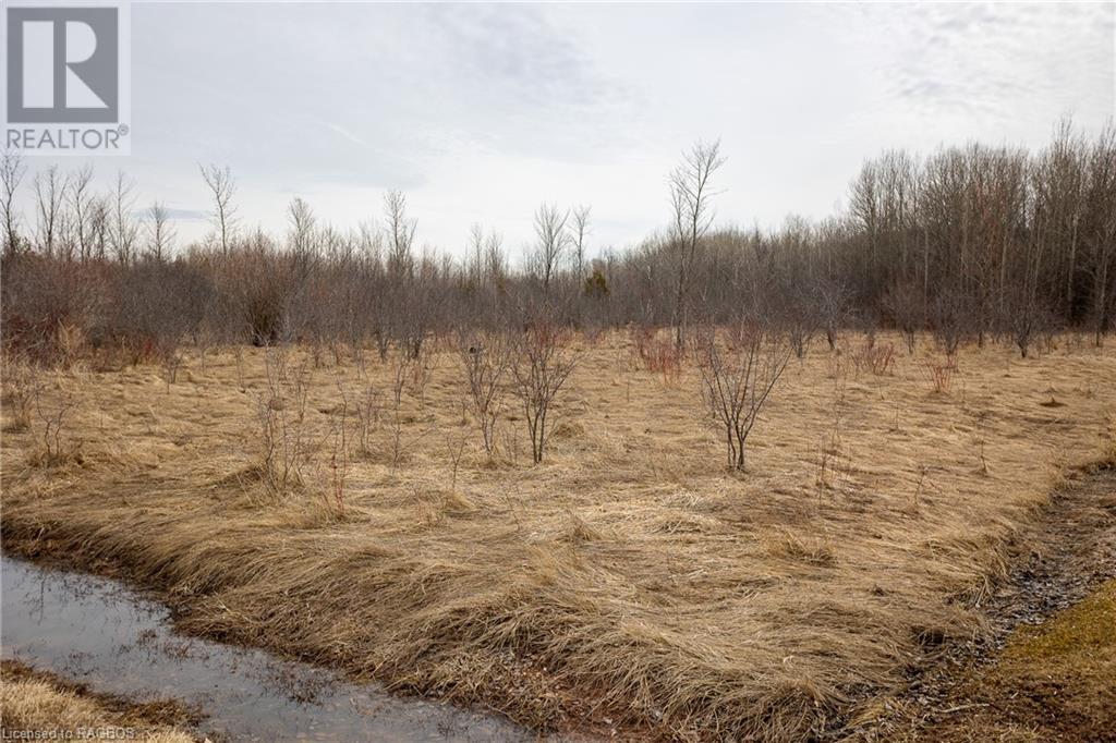 Pt Lt 16 Concession A, Meaford (Municipality), Ontario  N0H 1B0 - Photo 2 - 40396439