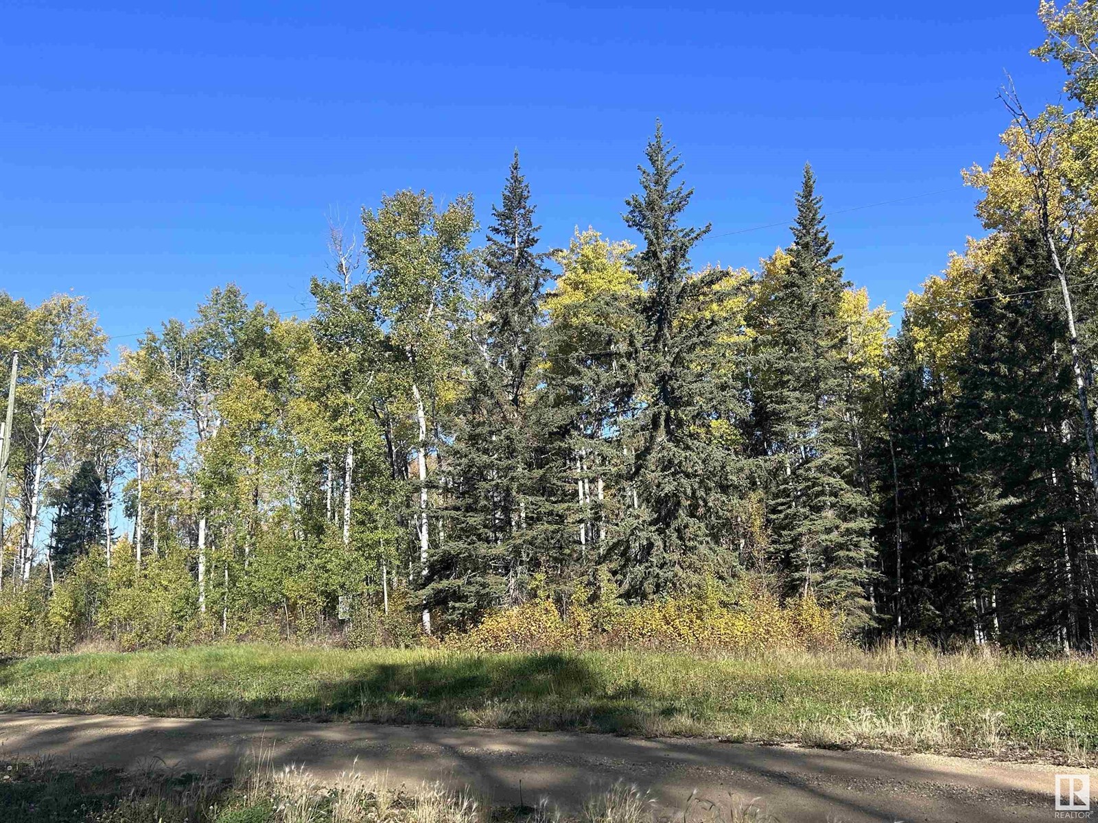 Lot 8 Forest Road (Rr 214), Rural Athabasca County, Alberta  T9S 1C4 - Photo 2 - E4327674