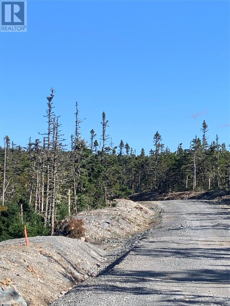 Lot 28 Halleran Trail, Brigus Junction, Newfoundland & Labrador  A0B 1G0 - Photo 13 - 1256502