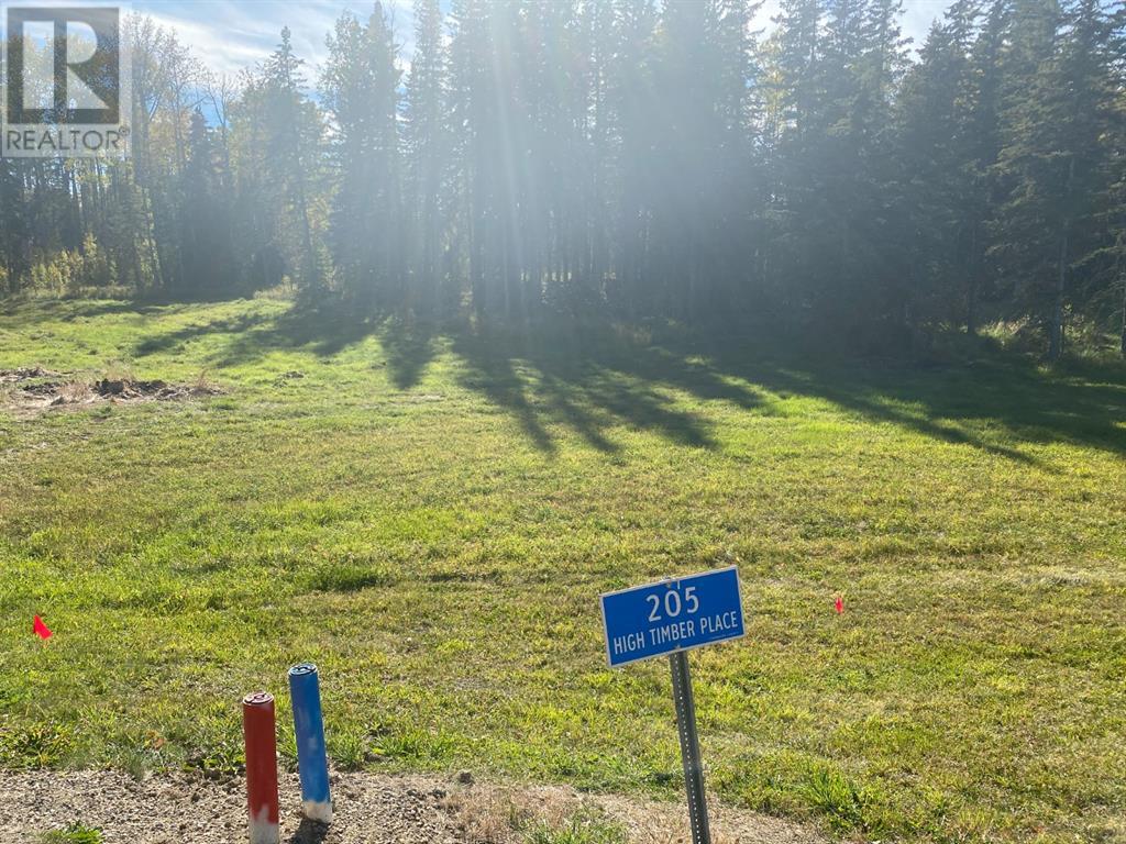 205 High Timber Place, Rural Clearwater County, Alberta  T4T 1A7 - Photo 1 - A1259081